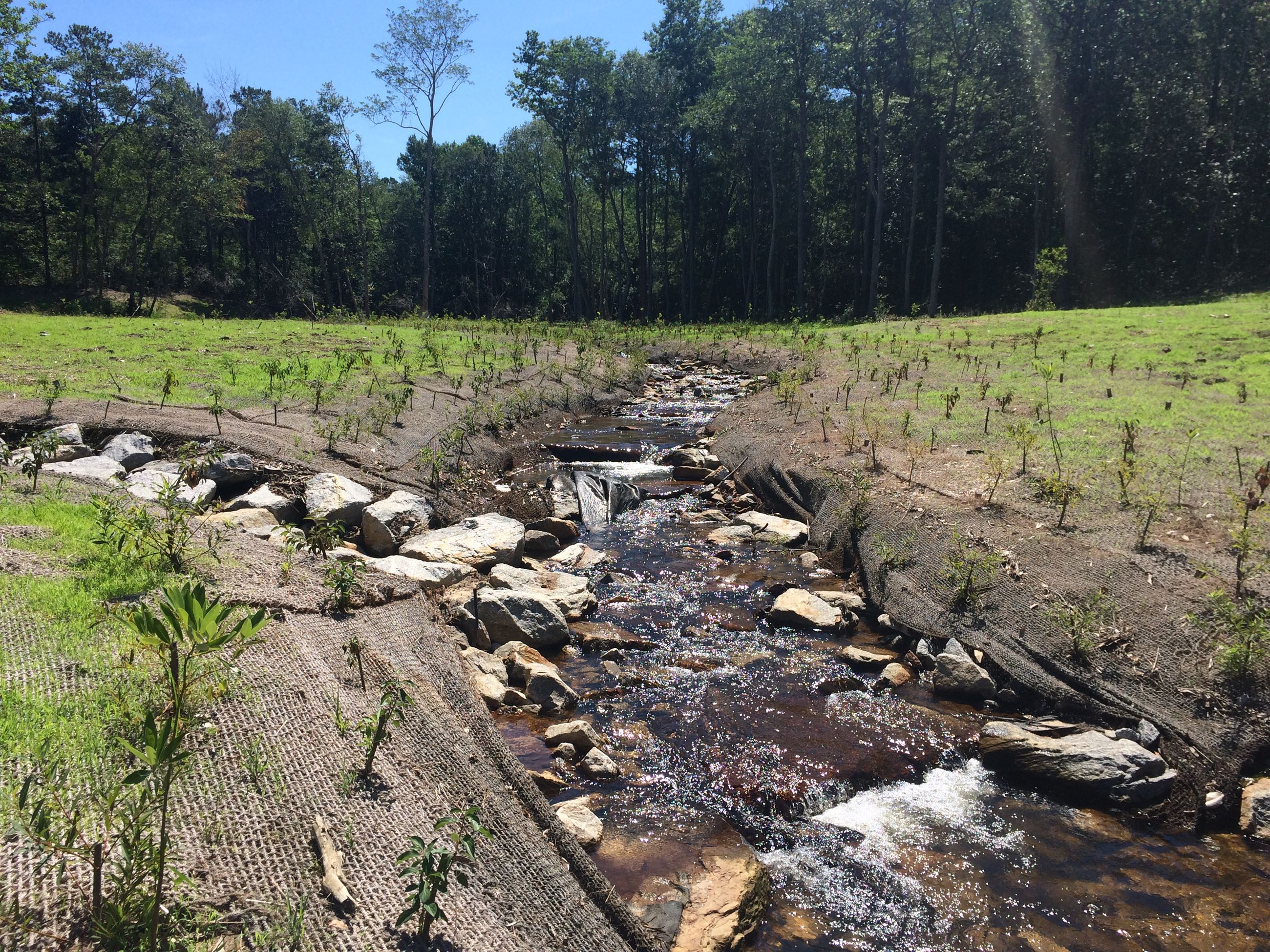 Dolive Creek at CR 13 2