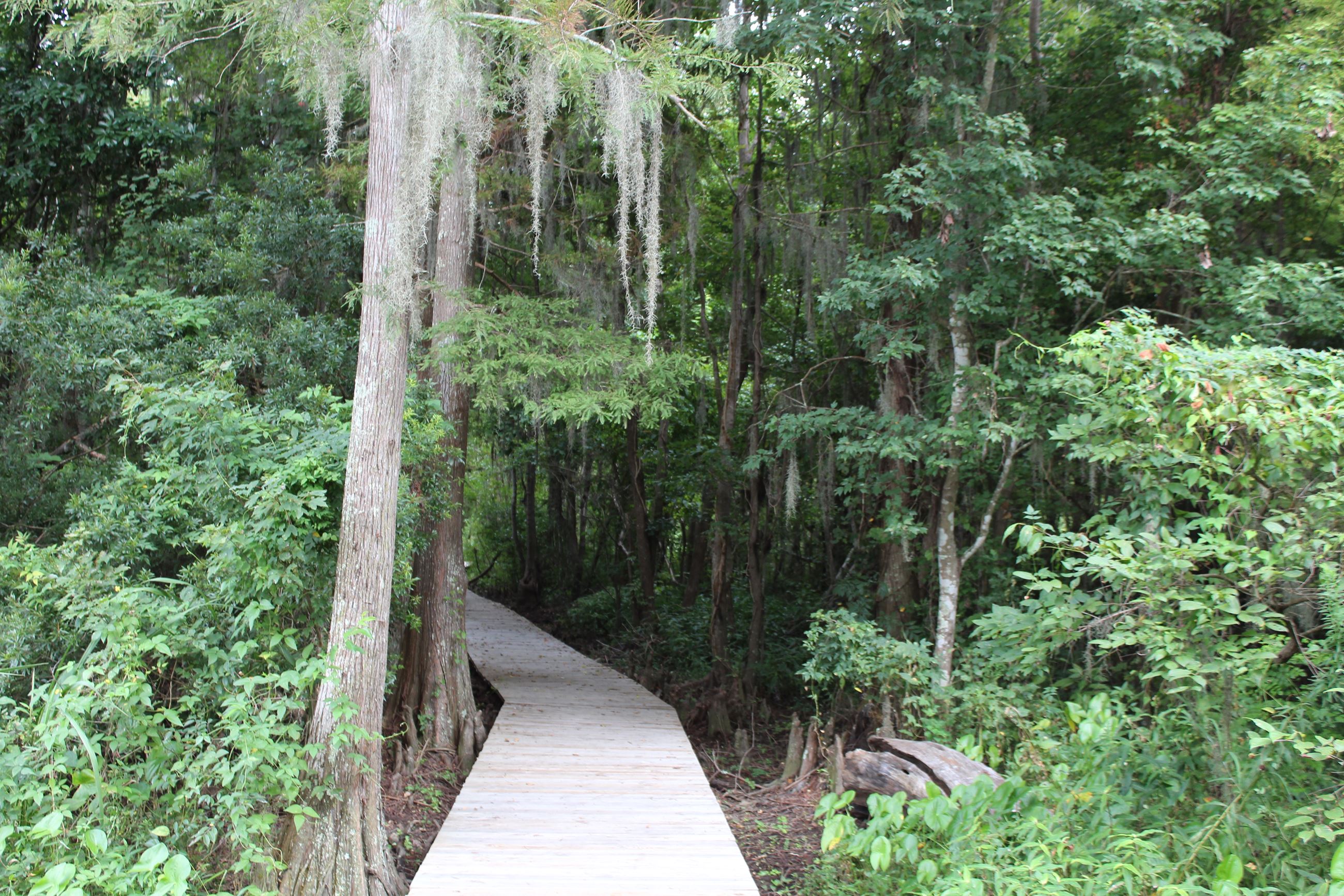 Village Point Park Preserve