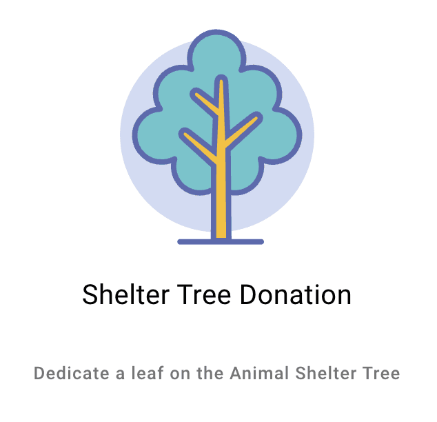Animal Shelter Tree Donation Link